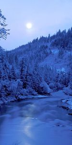 Rivage,Nature,Arbres,Les Rives,Sky,Gel,Rivières,Givre,Hiver,Lune