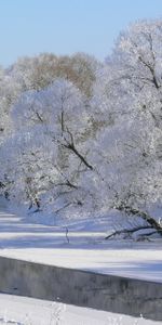 Invierno,Árboles,Cielo,Pelo Canoso,Cabello Canoso,Sombras,Naturaleza,Ríos,Oscuridad,Escarcha