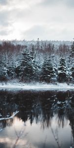 Winter,Nature,Rivers,Trees,Snow