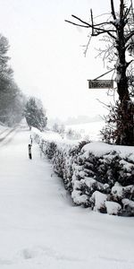 Winter,Nature,Road,Fence,Park,Hedge,Snow