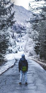 Flâner,Solitude,Forêt,Promenade,Route,Hiver,Nature