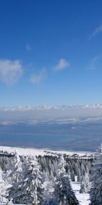 Winter,Nature,Sky,Forest,Ate,I See,Clear,Switzerland