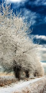 Nature,Sky,Paysage,Hiver