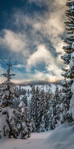 Winter,Nature,Sky,Mountains,Branches,Ate,Snow