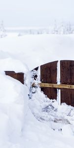 Winter,Nature,Snow,Fence,Gate,Wicket