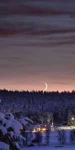 Winter,Nature,Snow,Forest,Lodge,Night,Small House,Moon