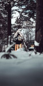 Winter,Nature,Snow,Forest,Lodge,Small House