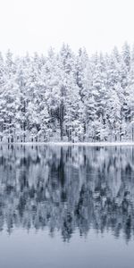 Nature,Réflexion,Forêt,Lac,Neige,Hiver