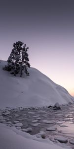 Холм,Дерево,Лед,Озеро,Снег,Зима,Природа