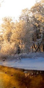 Hiver,Nature,Neige,Paysage