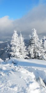 Paisaje,Invierno,Naturaleza,Nieve