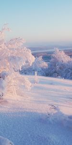 Winter,Nature,Snow,Landscape