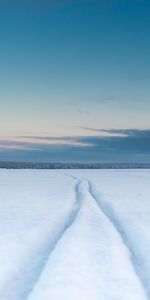 Winter,Nature,Snow,Track,Trace,Field