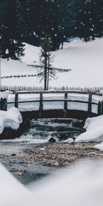 Winter,Nature,Snow,Wood,Tree,Bridge