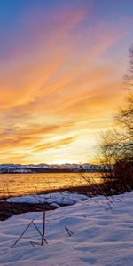 Invierno,Naturaleza,Puesta Del Sol,Nieve,Lago,Madera,Árbol,Paisaje