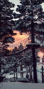 Winter,Nature,Sunset,Structure,Snow,Forest