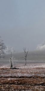 Invierno,Árboles,Helada,Naturaleza,Campo,Paisaje,Escarcha