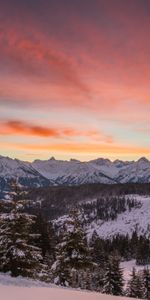 Invierno,Árboles,Montañas,Nieve,Abetos,Loma,Sierras,Naturaleza