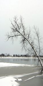 Winter,Nature,Trees,Lake,Frost,November,Ice