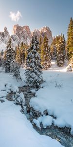 Montagne,Arbres,Nature,Neige,Hiver,Ruisseau