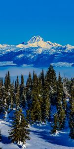 Nuages,Neige,Nature,Arbres,Montagnes,Hiver,Paysage