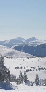 Winter,Nature,Trees,Mountains,Slopes