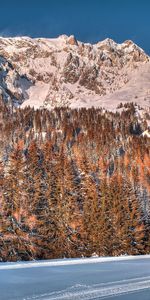 Winter,Nature,Trees,Mountains,Snow,Forest