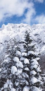 Nature,Montagnes,Neige,Hiver,Arbres,Paysage