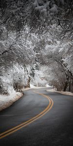 Neige,Route,Tourner,Asphalte,Nature,Tour,Arbres,Hiver