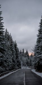 Winter,Nature,Trees,Road,Snow