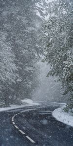 Naturaleza,Árboles,Nieve,Nevada,Nevasca,Invierno,Camino,Turno,Giro