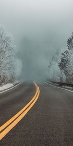 Winter,Nature,Trees,Road,Turn,Fog,Snow