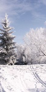 Winter,Nature,Trees,Sky,Clouds,Hoarfrost,Frost,Traces,Climb,Ski,Piste,Snow,Lift