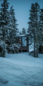 Nature,Forêt,Neige,Arbres,Hiver,Loger,Maison