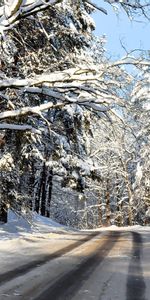 Routes,Neige,Nature,Arbres,Hiver,Paysage