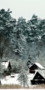 Winter,Nature,Trees,Snow,Mighty,Small Houses,Houses