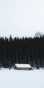 Montagne,Nature,Arbres,Neige,Loger,Hiver,Maison