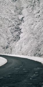 Winter,Nature,Trees,Snow,Road,Turn