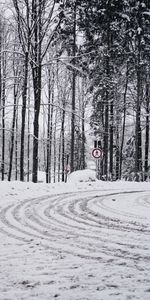 Winter,Nature,Trees,Snow,Road,Turn