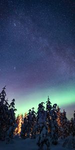 Winter,Nature,Trees,Starry Sky,Northern Lights,Aurora,Milky Way,Aurora Borealis