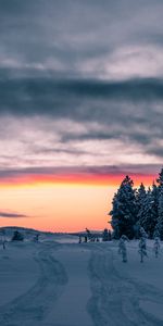 Naturaleza,Árboles,Puesta Del Sol,Horizonte,Invierno,Nieve