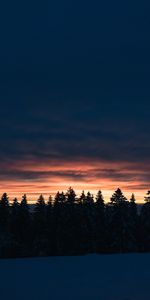 Winter,Nature,Trees,Sunset,Twilight,Fir Trees,Dusk,Snow