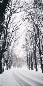 Winter,Nature,Trees,Turn,Road,Snow