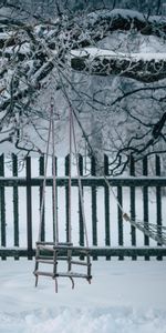 Winter,Nature,Wood,Tree,Branches,Snow,Swing