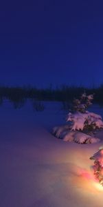 Paisaje,Invierno,Año Nuevo,Nieve,Abetos