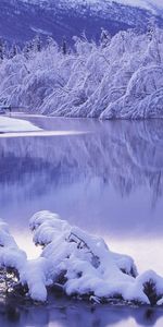 Winter,Rivers,Landscape