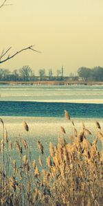 Rive,Nature,Glace,Banque,Rivières,Hiver