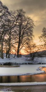 Arbres,Rivières,Paysage,Neige,Hiver