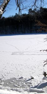 Arbres,Rivières,Hiver,Neige,Paysage