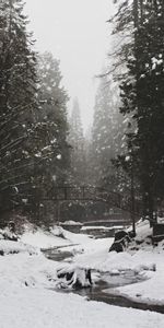 Nature,Neige,Pont,Arbres,Rivières,Hiver